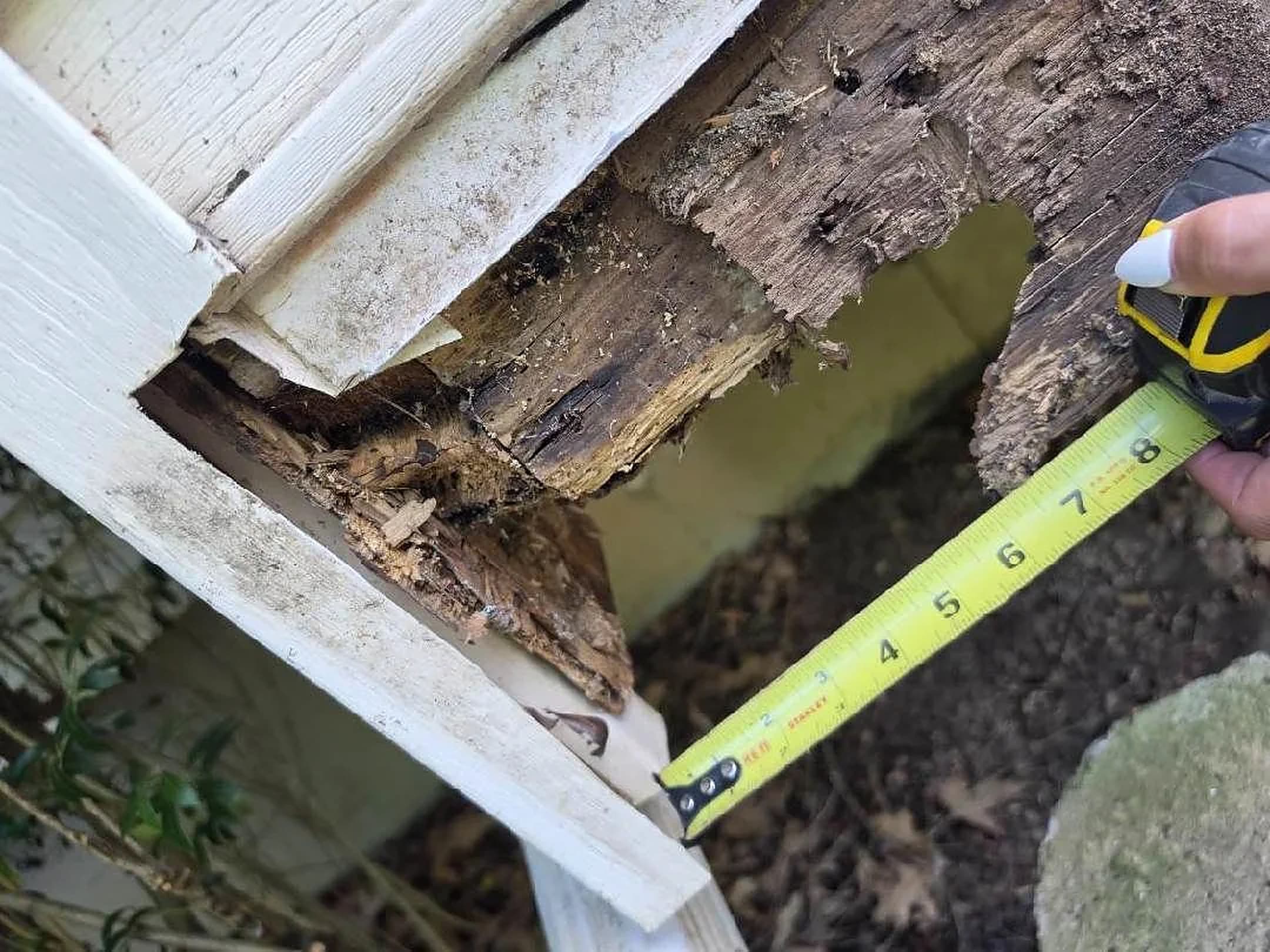 Rotted sill beam exposed behind siding, measured before rebuild